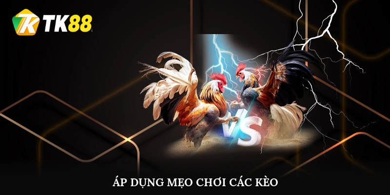 Áp dụng mẹo chơi các kèo cá cược đá gà