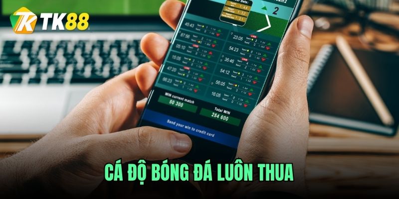 ca-do-bong-da-luon-thua
