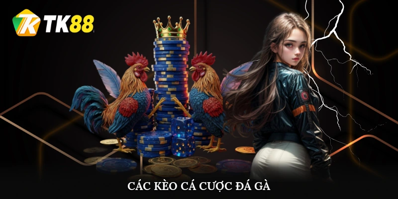 Các kèo cá cược đá gà