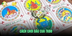 cach-choi-bau-cua-tk88