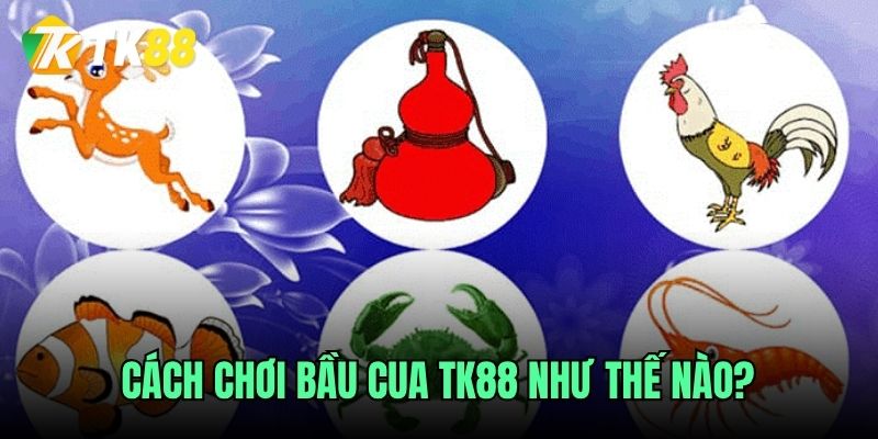 Ý nghĩa và cách chơi bầu cua TK88