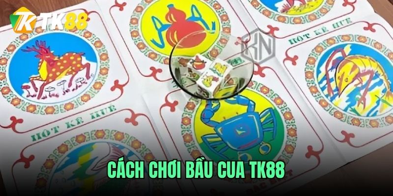 cach-choi-bau-cua-tk88