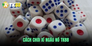 cach-choi-game-xi-ngau-no-tk88-chi-tiet