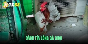 cach-tia-long-ga-choi