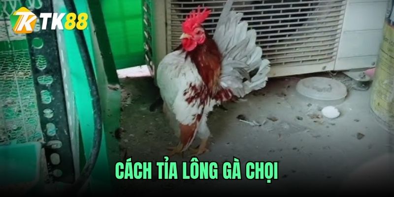 cach-tia-long-ga-choi