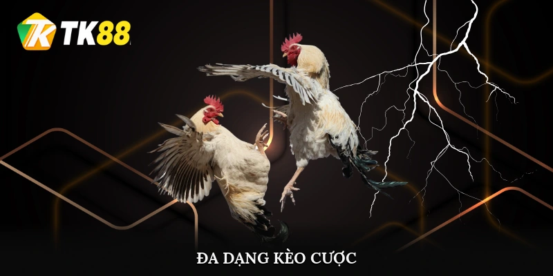 Đa dạng kèo cược để sư kê lựa chọn