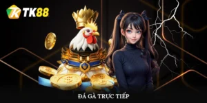 Đá gà trực tiếp