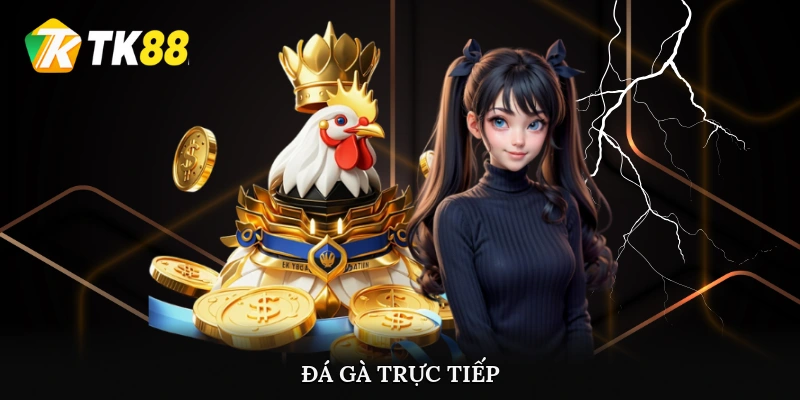 Đá gà trực tiếp