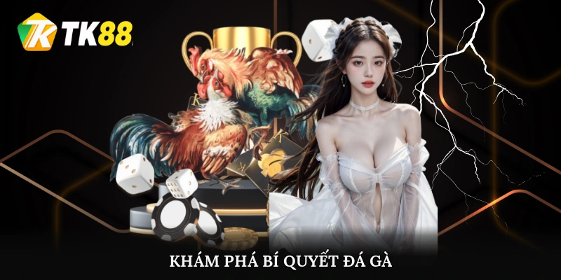 Khám phá bí quyết đá gà chính xác từ cao thủ