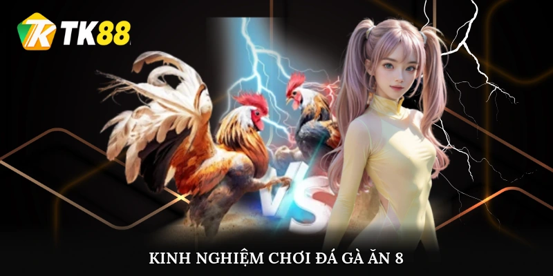 Kinh nghiệm chơi đá gà ăn 8 giành chiến thắng