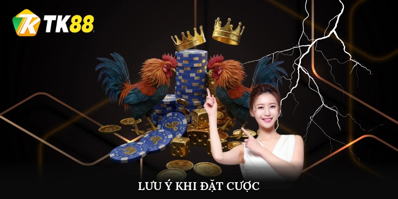 Lưu ý khi đặt cược đá gà trực tiếp