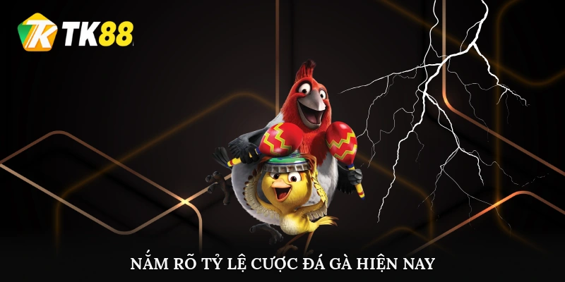 Nắm rõ tỷ lệ cược đá gà hiện nay