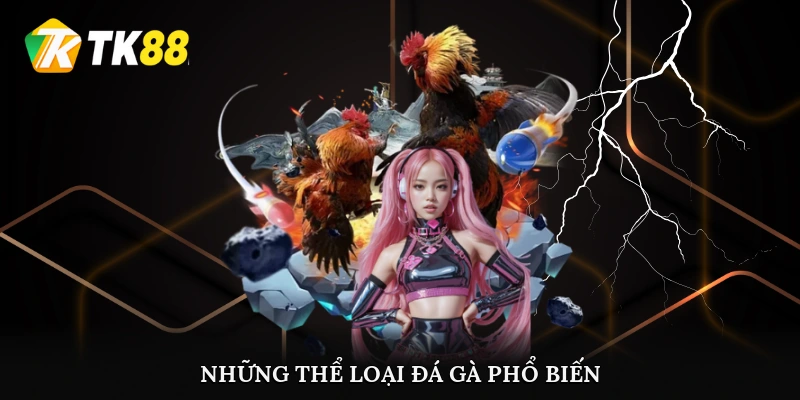 Những thể loại đá gà phổ biến nhất hiện nay