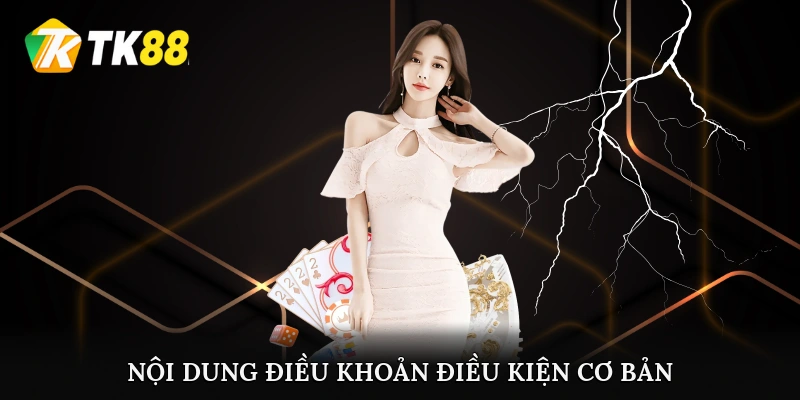 Nội dung điều khoản điều kiện cơ bản
