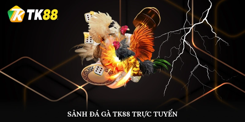Sảnh đá gà TK88 trực tuyến đẳng cấp nhất