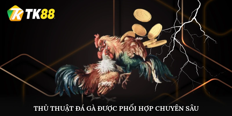 Thủ thuật đá gà được phối hợp chuyên sâu