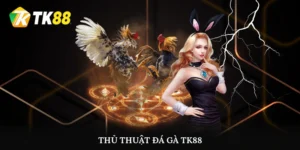 Thủ thuật Đá gà
