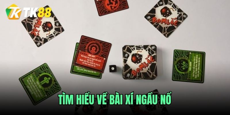 Tìm hiểu về chơi game Xí Ngầu Nổ TK88