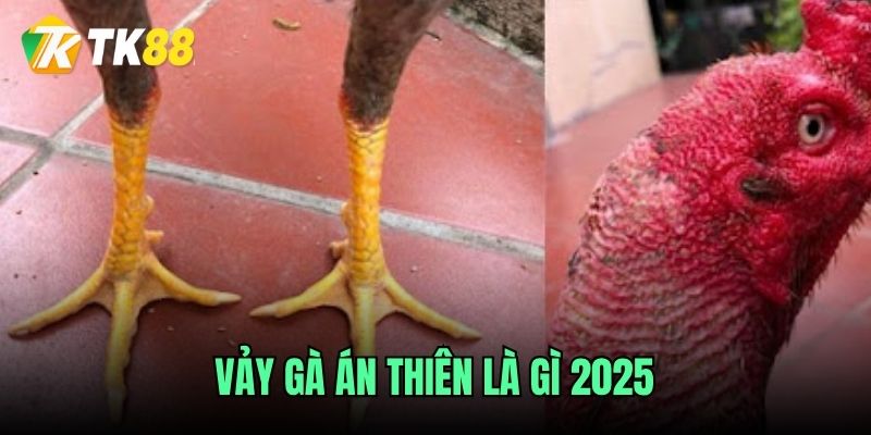 Vảy gà án thiên nhận biệt dễ dàng