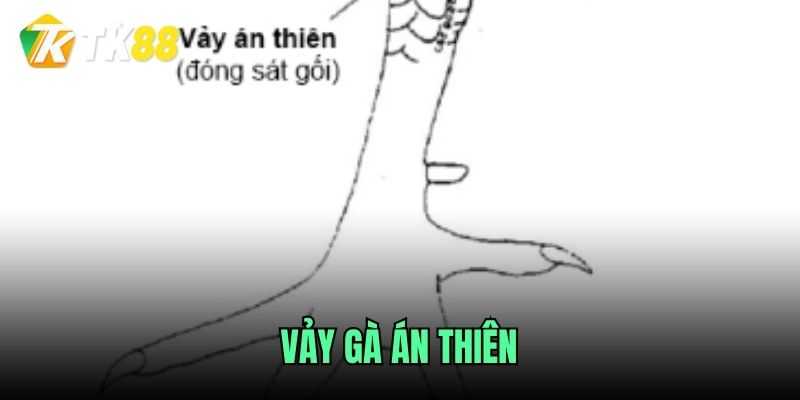 vay-ga-an-thien