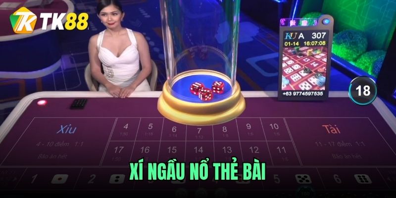 Luật chơi dễ hiểu Game Xí Ngầu Nổ TK88