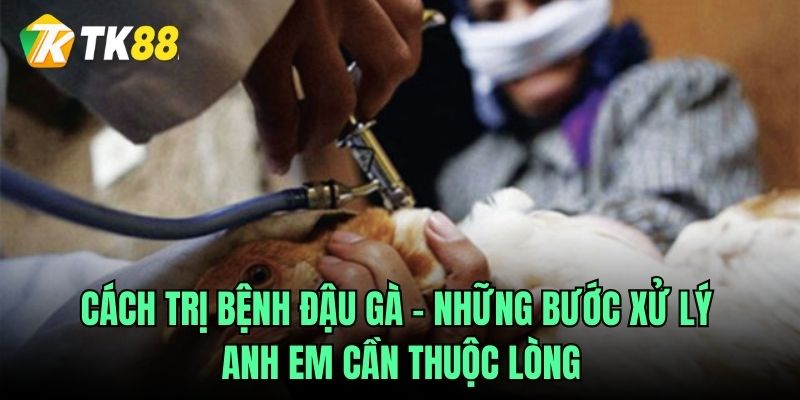 Cách trị bệnh đậu gà – Những bước xử lý anh em cần thuộc lòng
