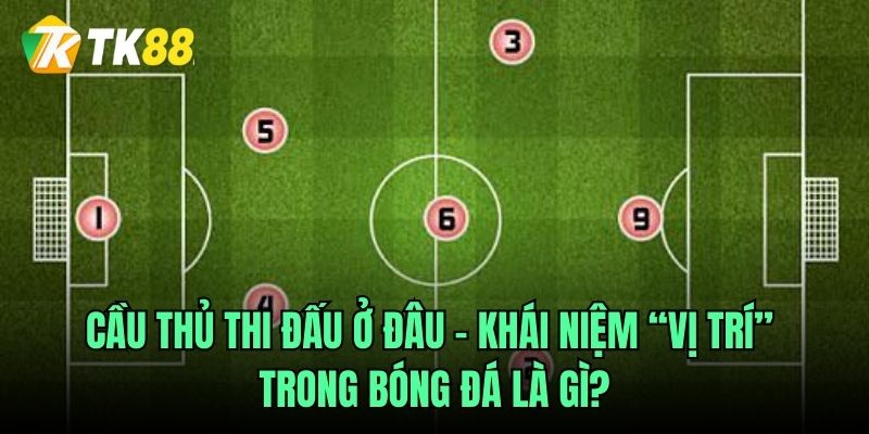 Cầu thủ thi đấu ở đâu – Khái niệm các vị trí trong bóng đá là gì?
