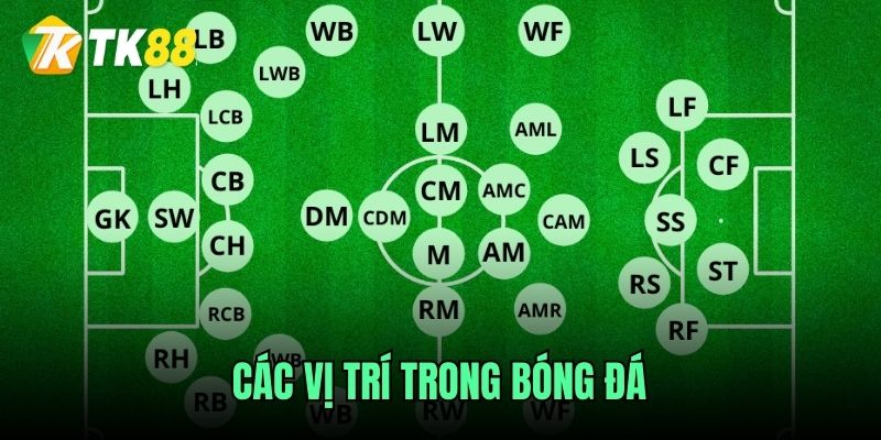 cac-vi-tri-trong-bong-da