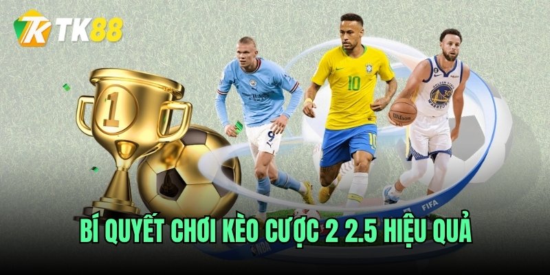 Bí quyết chơi kèo cược 2 2.5 hiệu quả