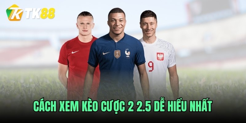 Cách xem kèo cược 2 2.5 dễ hiểu nhất
