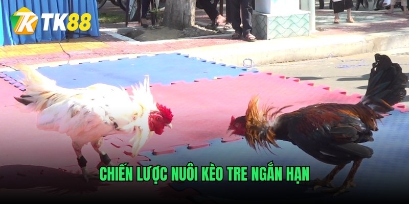 Chiến lược nuôi kèo tre ngắn hạn