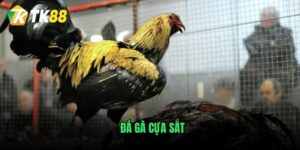 da-ga-cua-sat