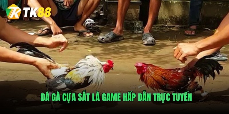 Đá gà cựa sắt là game hấp dẫn trực tuyến