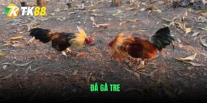 da-ga-tre
