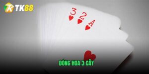 dong-hoa-3-cay