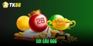 soi-cau-666