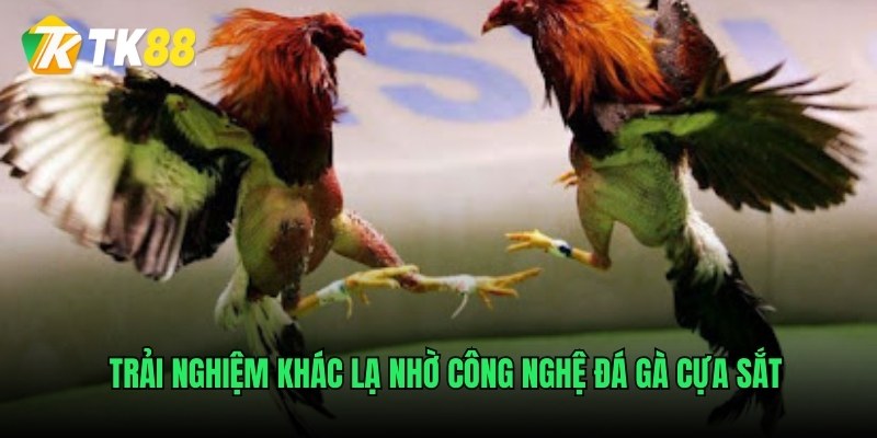 Trải nghiệm khác lạ nhờ công nghệ đá gà cựa sắt