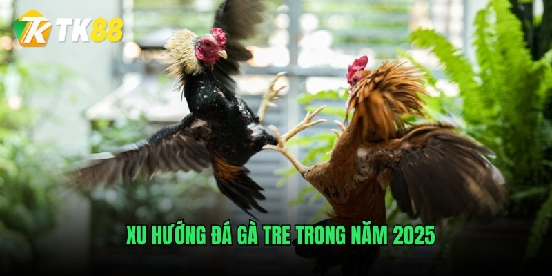 Xu hướng đá gà tre trong năm 2025